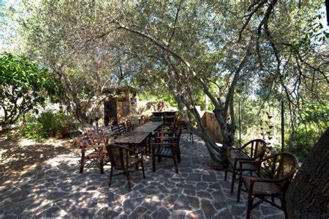 Villa Arancio Giorgio Cala Liberotto Εξωτερικό φωτογραφία