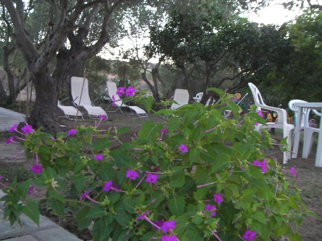 Villa Arancio Giorgio Cala Liberotto Εξωτερικό φωτογραφία
